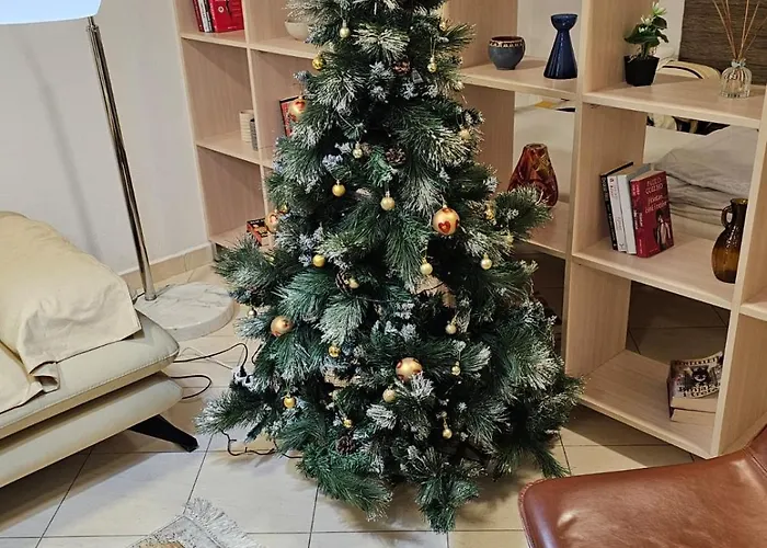 Center 12 Apartment